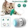 Interactive Robotic Cat Toys,Automatic Irregular USB Charging 360 Degree Self Rotating Ball,Automatic Feathers/Birds/Mouse Toys for Cats/Kitten,Build-in Spinning Led Light，Large Capacity Battery